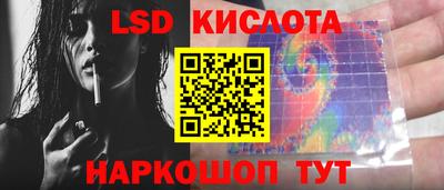 спайс Кингисепп