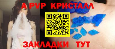 спайс Кингисепп