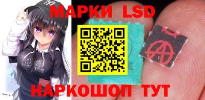 спайс Кингисепп