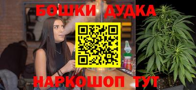 индика Кинель