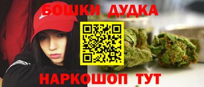 индика Кинель