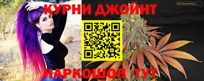 спайс Кингисепп