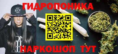 спайс Кингисепп