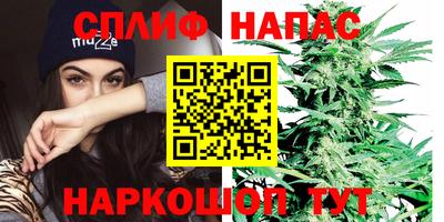 тгк Кимры
