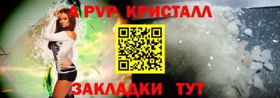 спайс Кингисепп