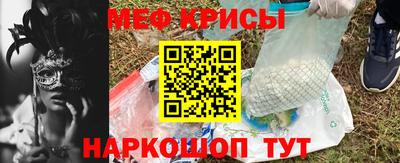 спайс Кингисепп