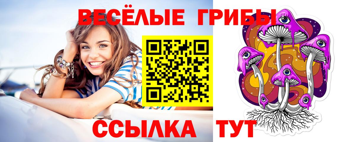 Псилоцибиновые грибы Cubensis Кудымкар